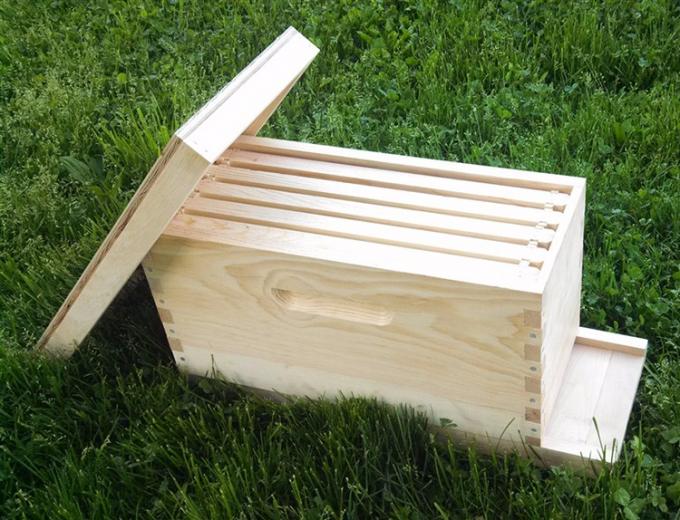 تربية النحل 5 إطارات خشبية مربعات Nuc النحل للملكة النحل