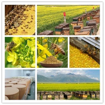 Pure Natural Premium Rape Bee Pollen Direct From the Farm Food Grade Yellow Rape Bee Pollen