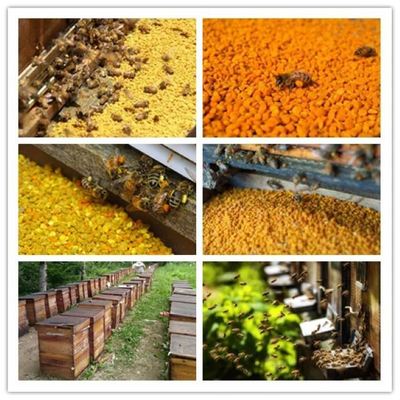 Natural Health Supplement Food Grade Fresh Rape/Sunflower Mixed Bee Pollen Factory Supply Bulk High Quality Bee Pollen