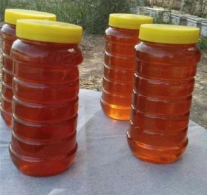 Best Price for Sale Natural  Jujube Honey Food Grade Health Supplement High Quality Fresh Jujube Honey