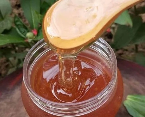 Hot Selling High Quality Sidr Honey Food Grade Honey Product 100% Pure Natural Sidr Honey in Bulk Packaging