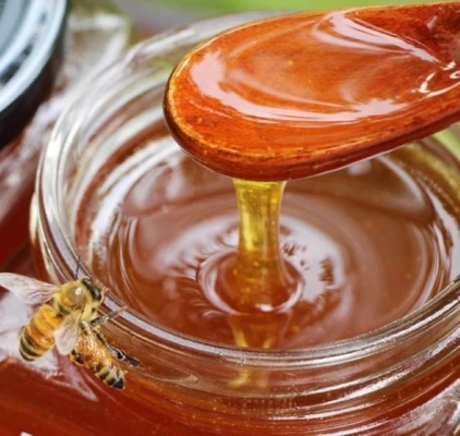 Wholesale Bulk Pure Natural Sidr Honey Food Grade Honey Product High Quality Sidr Honey in Bucket Packaging