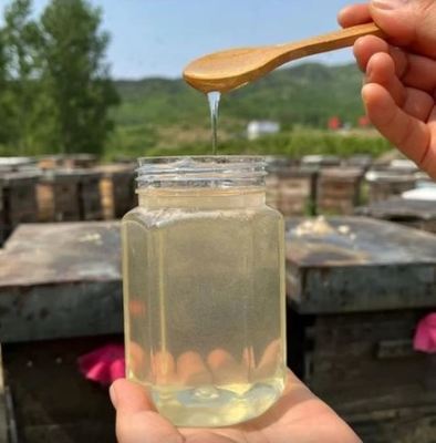 100% Pure Natural Acacia Honey Liquid Bulk 290kg Drum Wholesale Supplier for Food Processing