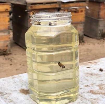 High Quality Raw Acacia Honey Premium Health Supplement Wholesale High Grade Fresh Transparent Acacia Honey