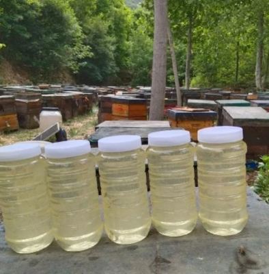 Wholesale Bulk Transparent Acacia Honey 100% Pure Natural Organic for Dietary Supplement