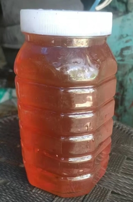 Natural Food Grade Eucalyptus Honey High Quality Raw Bee Product Fresh Organic Eucalyptus Honey in Barrel Packaging