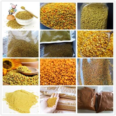 High Quality Plant Extract Edible Sunflower Bee Pollen High Nutritional Value Sunflower Bee Pollen
