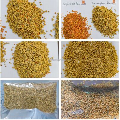 Manufacturer Supply Bulk High Quality Tea Bee Pollen 100% Natural Herbal Extract Fresh Tea Bee Pollen Packaged in Bag