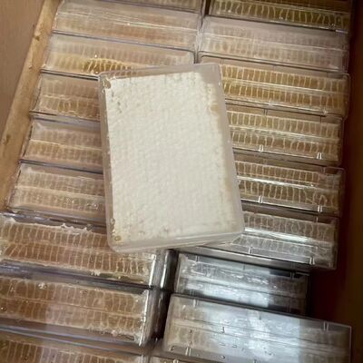 Best Price for Sale 100% Pure Natural Honeycomb High Quality Raw Honey Food Grade Comb Honey 500g in Box Packaging