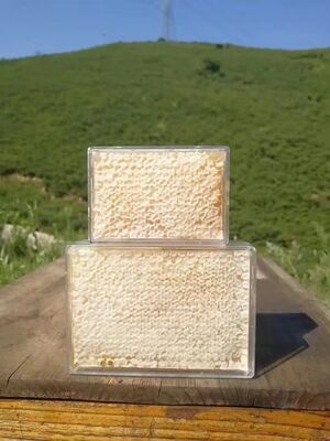 500g Pure Natural Raw Honeycomb High Quality Bee Product Food Grade Fresh Honeycomb in Boxes Packaging
